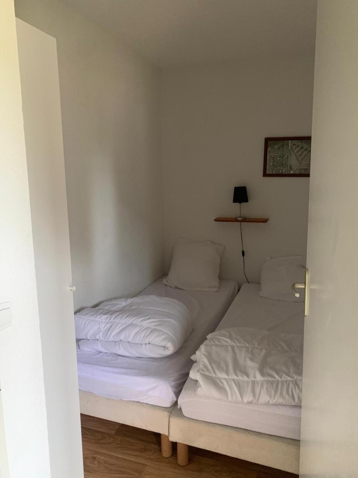Appartement Dans Residence Bois De La Reine, Besse Et Saint Anastaise Eksteriør billede
